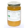 Soupe de Butternut au Curcuma Bio 700g artisanale