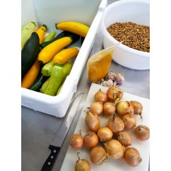 Tartinable Courgettes Noix au Curry Bio 90g artisanal