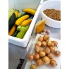 Tartinable Courgettes Noix au Curry Bio 90g artisanal