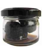 Truffes Noires du Périgord | Le Ségéral