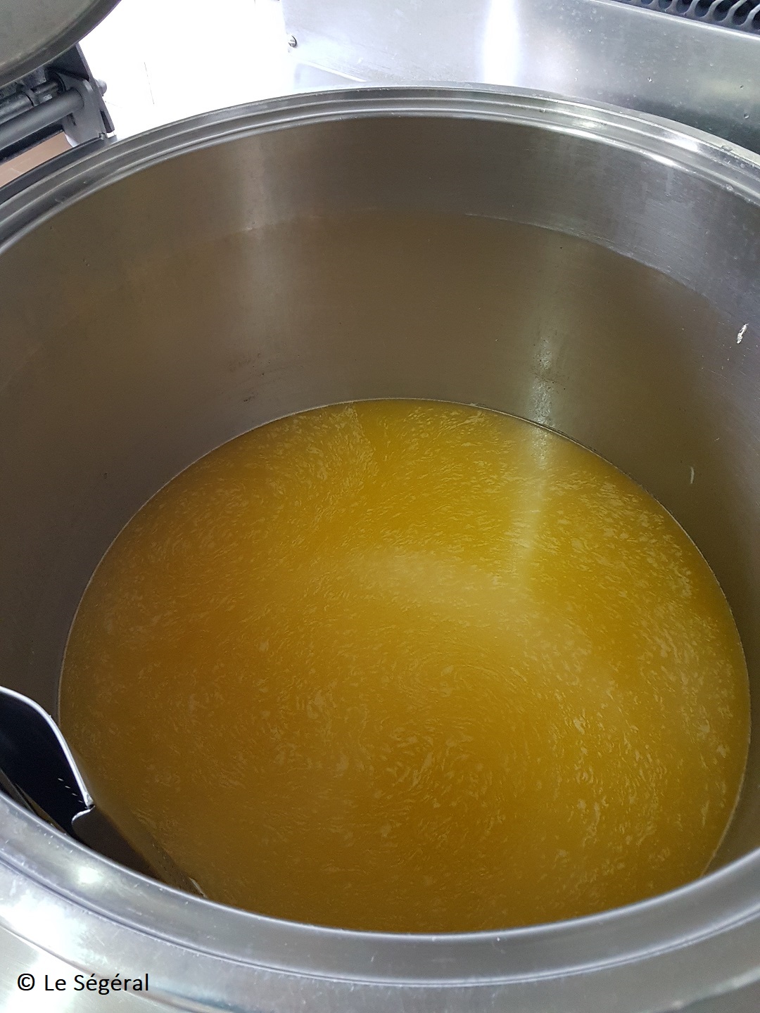 Graisse fondue canard