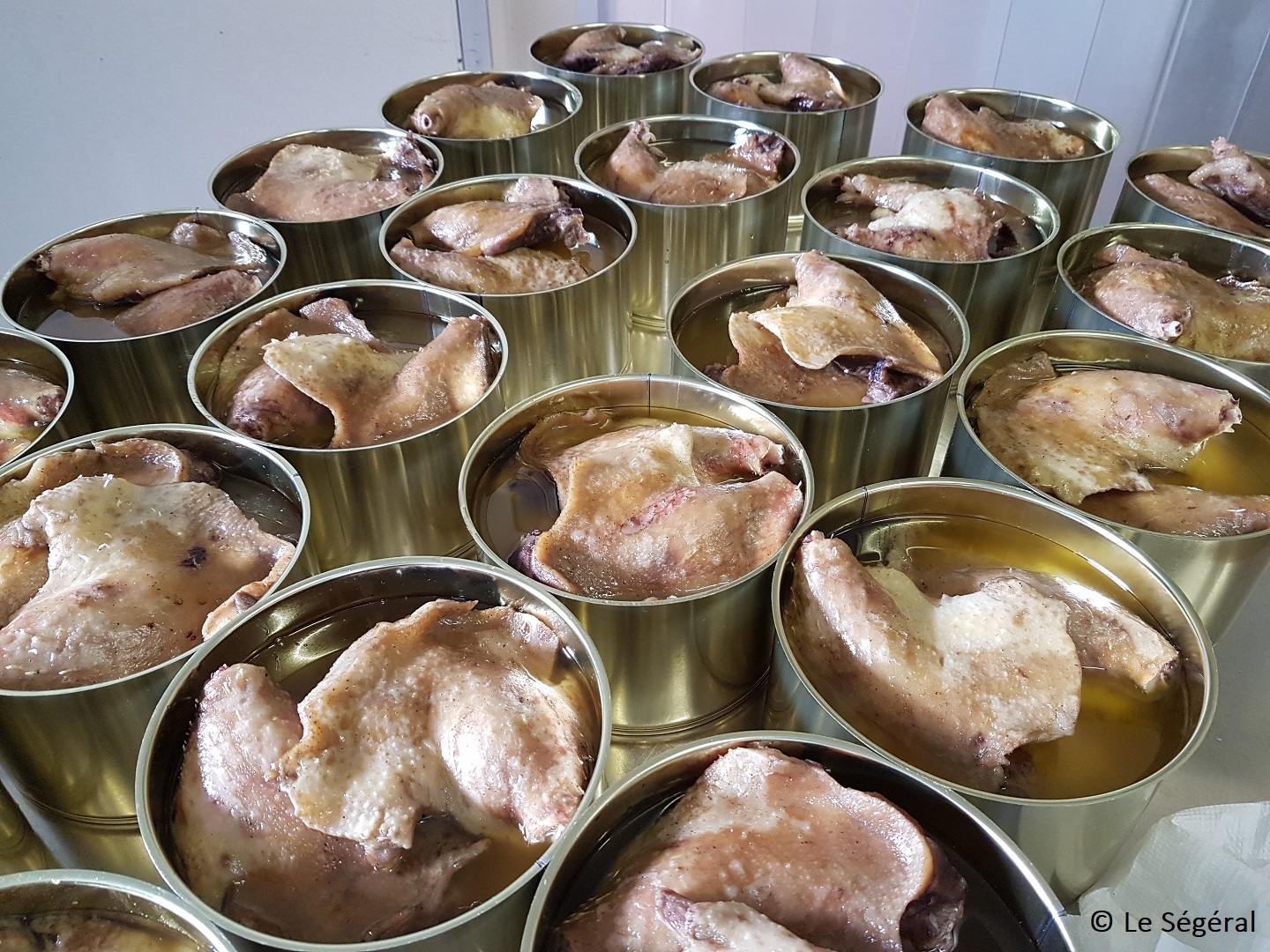 Confit canard artisanal périgord