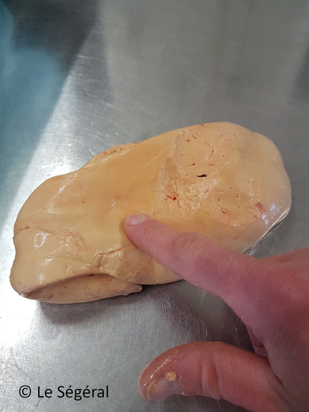 foie gras artisanal perigord