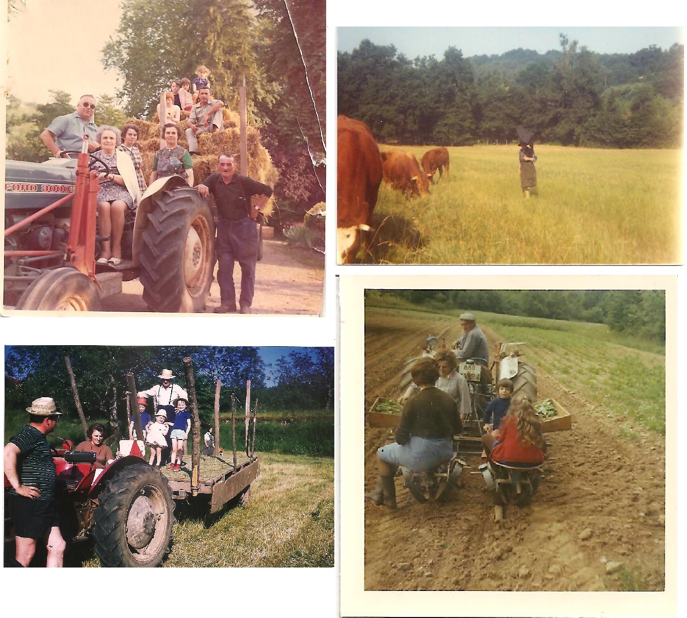 La ferme familiale - Années 70
